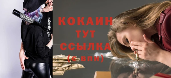 молекула духа Няндома