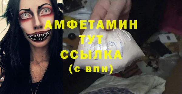 молекула духа Няндома