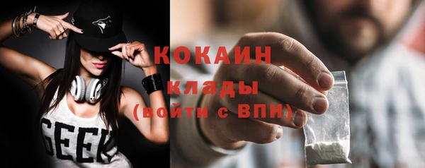 молекула духа Няндома