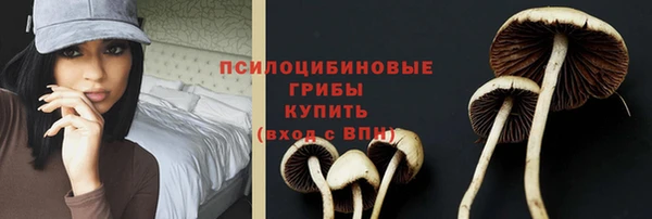 молекула духа Няндома