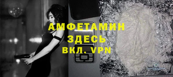 молекула духа Няндома