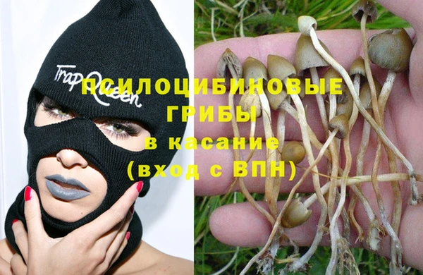 мдпв Абдулино