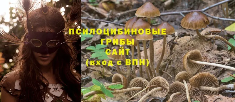 что такое наркотик  KRAKEN ссылка  Псилоцибиновые грибы мухоморы  Абаза 