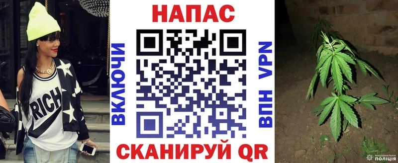 МАРИХУАНА SATIVA & INDICA  Абаза 